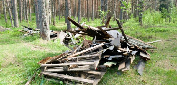 Debris Removal Service in Tempe