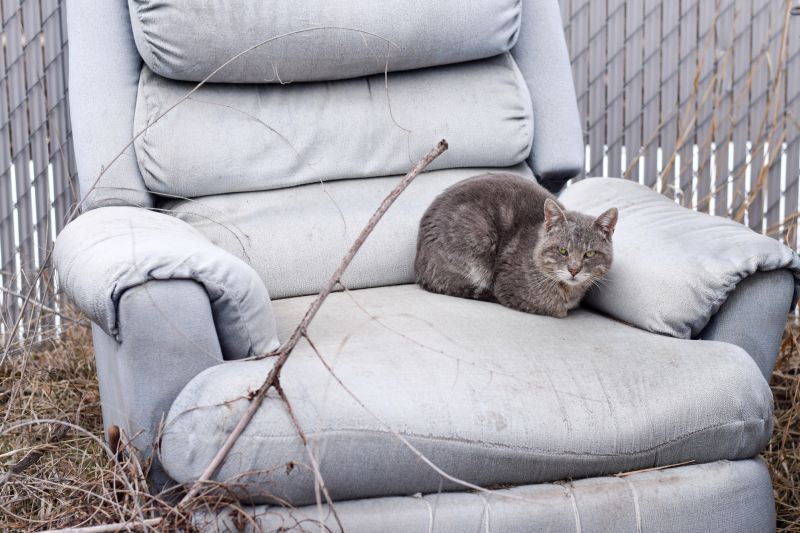 Recliner Removal detail